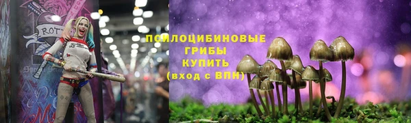 винт Карпинск