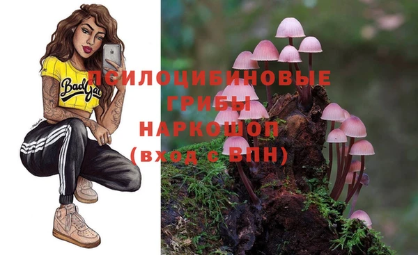 спиды Карталы