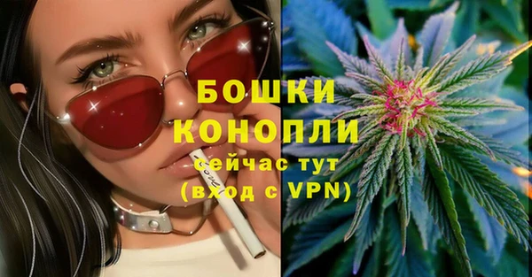 винт Карпинск