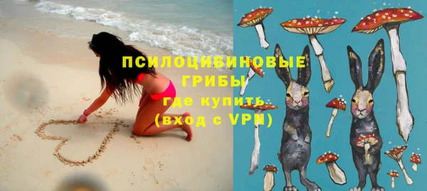 винт Карпинск
