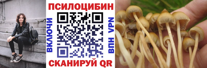 Галлюциногенные грибы Cubensis  Купить где  Омутнинск 